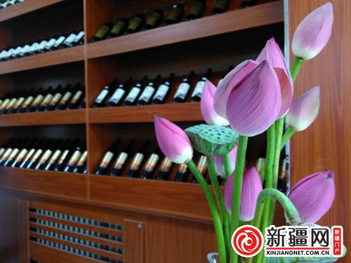 5QQ图片20190822131732