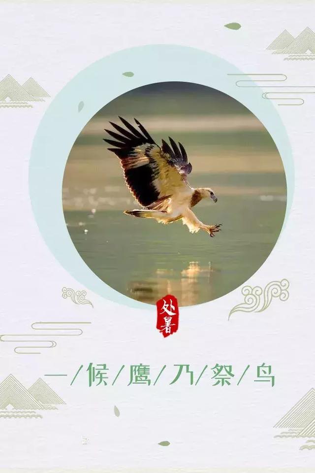 今日处暑！晚风渐凉，有你心暖
