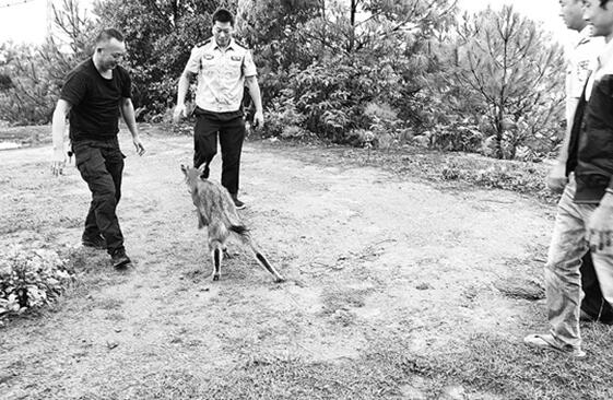 00300866499_8803f410