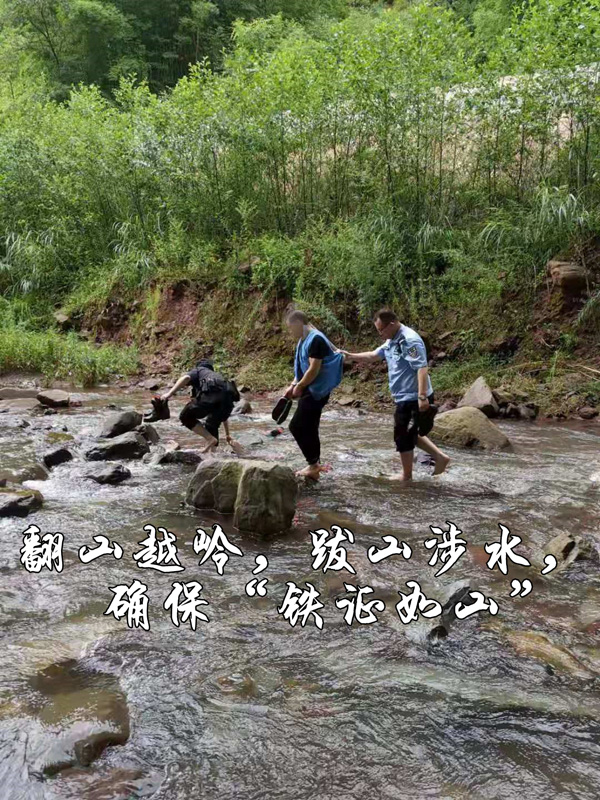 组图4