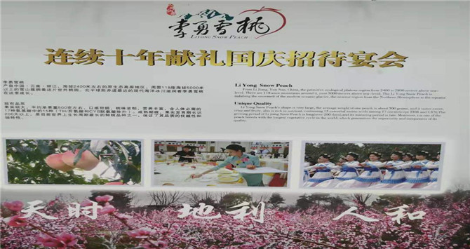 下载2