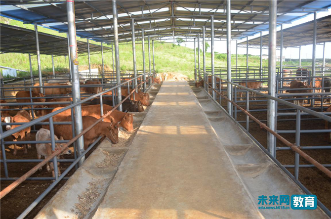 W020190909347558887712