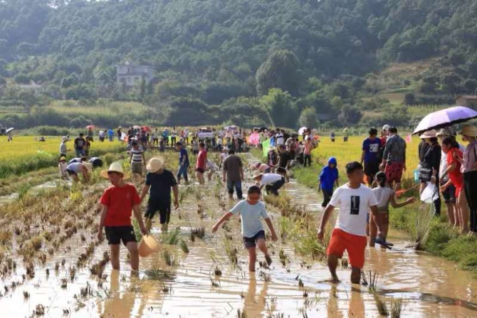 微信图片_201909101628001