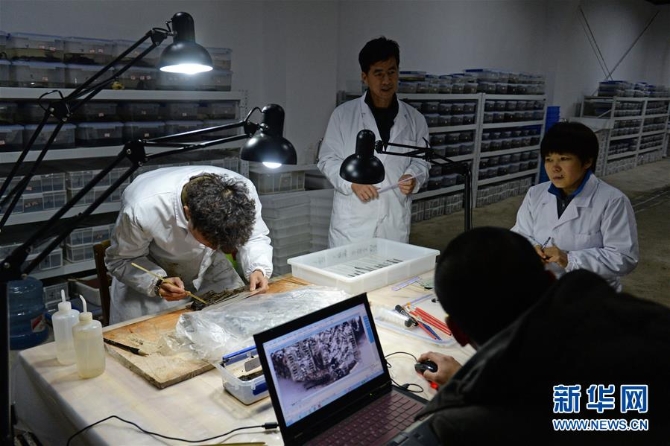 (红土地“往事新说”·图文互动)(5)仙人洞里说丰年 海昏遗址看文化