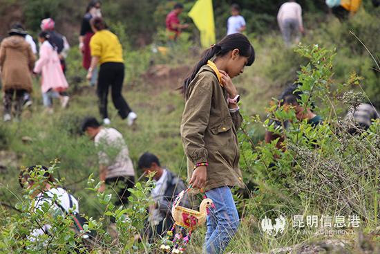 丰收节“寻宝”活动。记者薛江涛摄