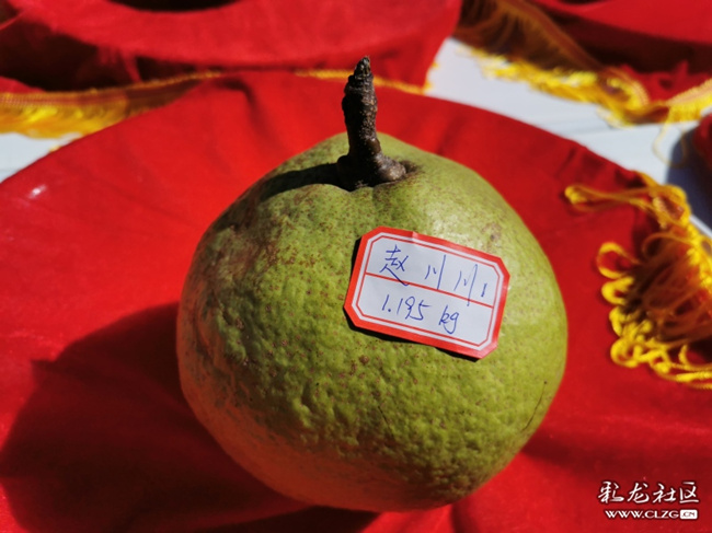 梨王出炉_副本