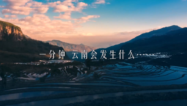 00300921786_f7fa33e5