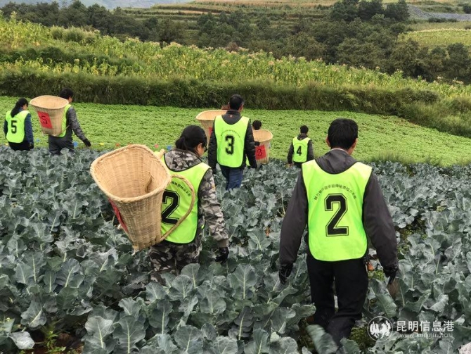 微信图片_20190923184534 微信图片_20190923184534