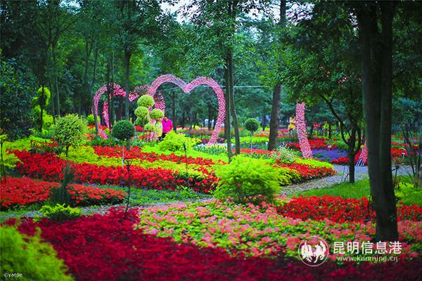 微信图片_20190924143545