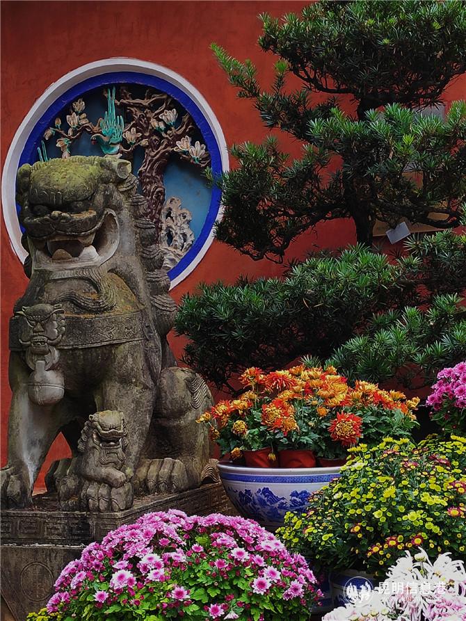 金殿名胜区。李若游摄 金殿名胜区。李若游摄