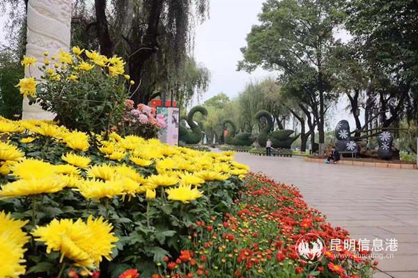 1007690323 1007690323