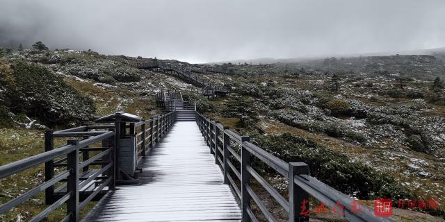 轿子山下雪