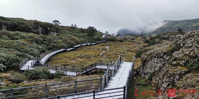 轿子山下雪