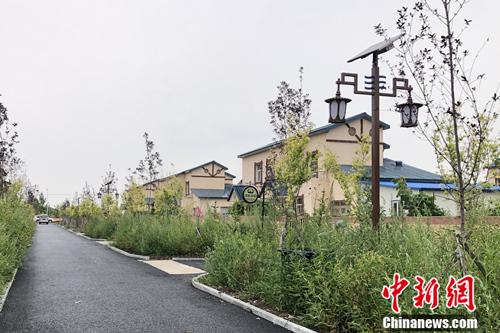 八岔村家庭旅馆。张楷欣 摄 点击进入下一页