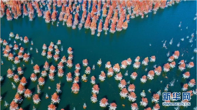 昆明:滇池上游湿地美如画