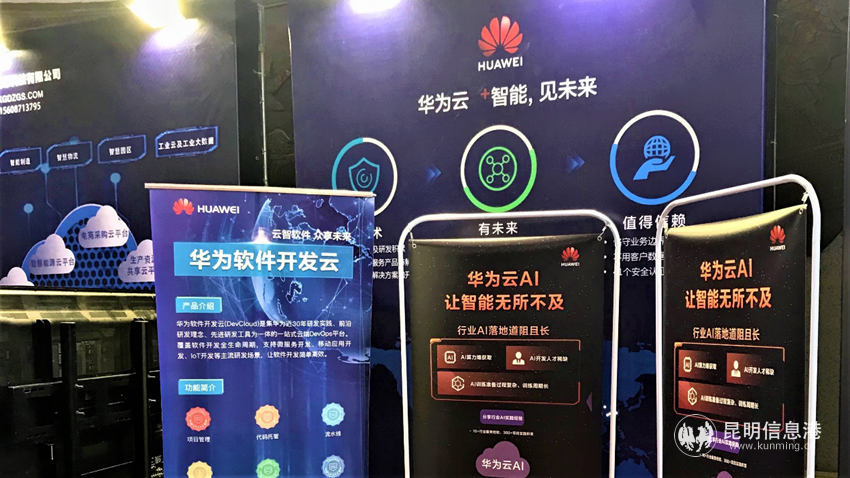 图片4