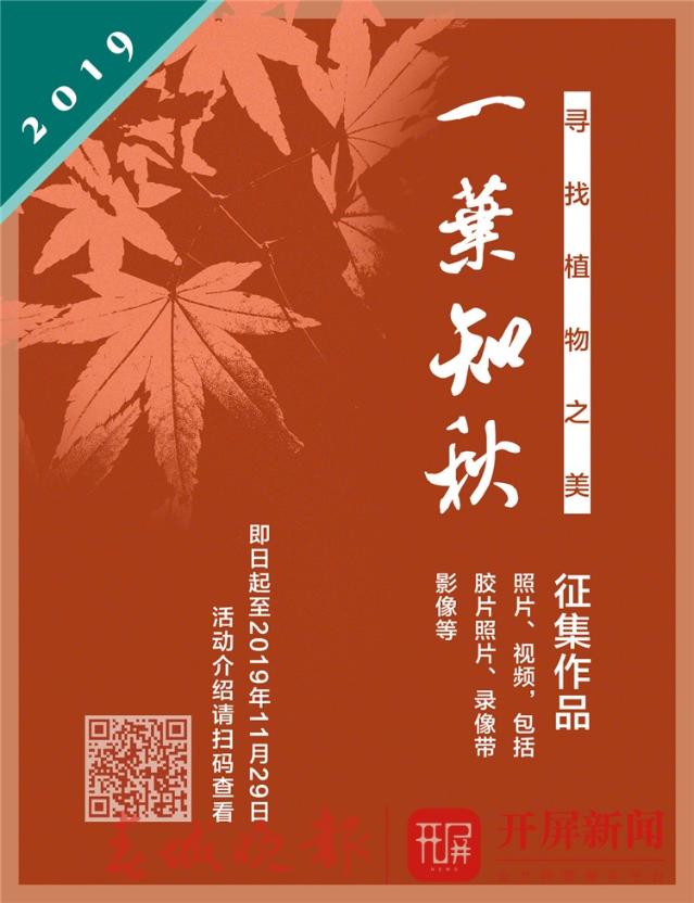 科普大餐