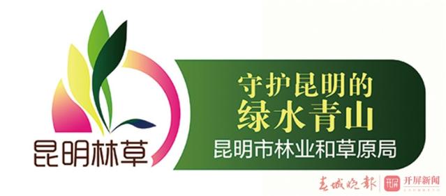 保护红嘴鸥