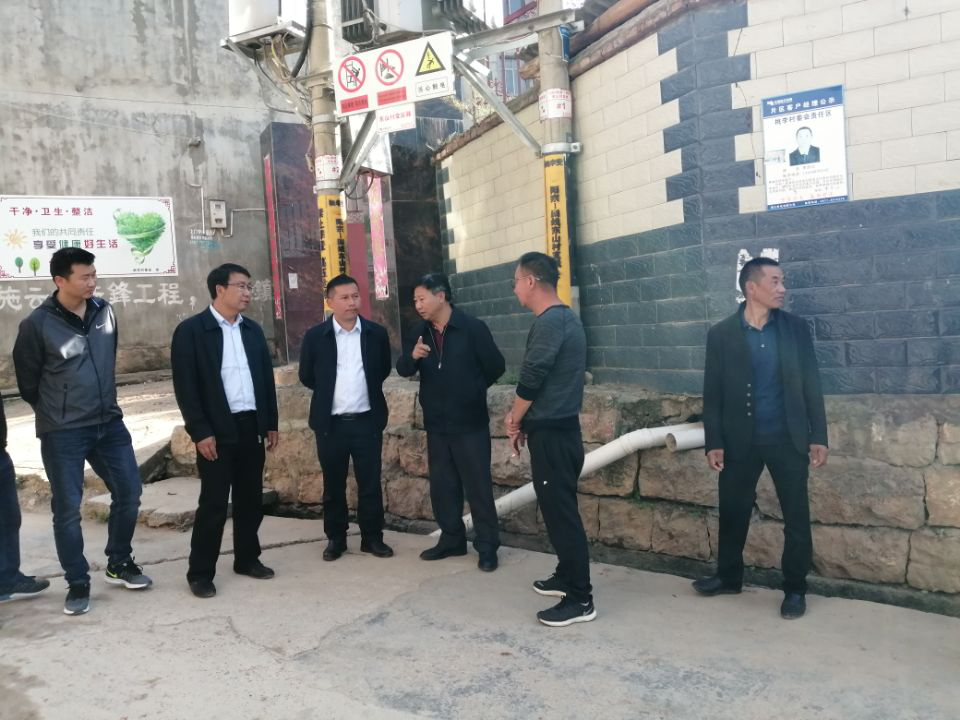图片3