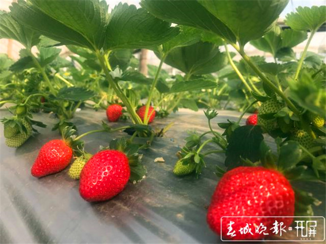 201911071723564WVNNPm4