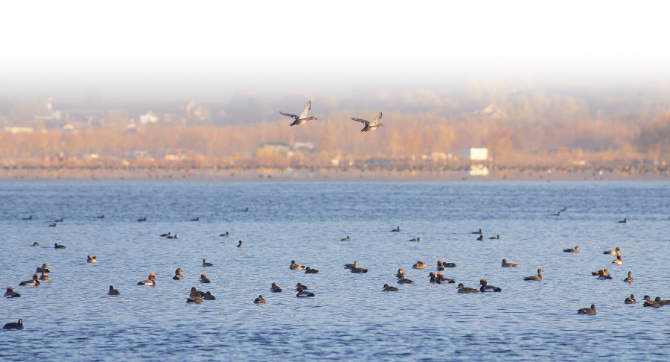 00301198999_1c5b798b 00301198999_1c5b798b