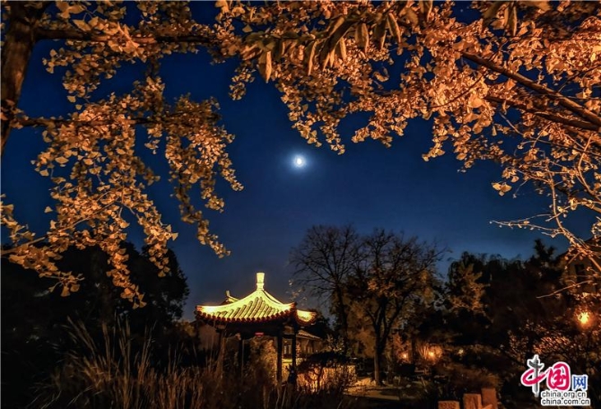 d1fe7ac8-77c9-4bfc-93ab-a8463d75d17b_batchwm