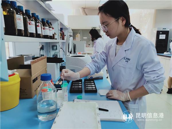 云南中科灵长类生物医学重点实验室工作人员