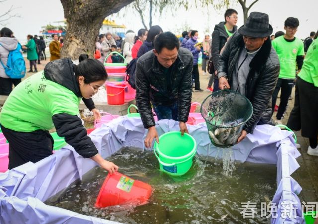 放鱼滇池