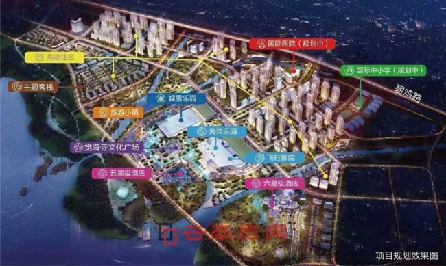 图6