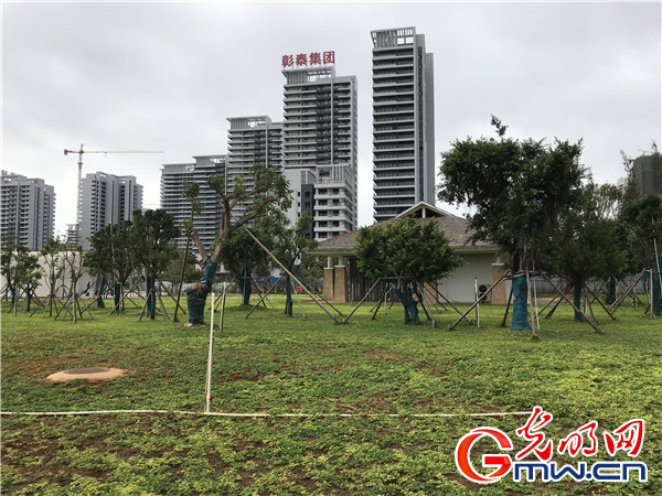 【美丽中国·网络媒体生态文明行】广西北海:滨海之都与水共“舞” 【美丽中国·网络媒体生态文明行】广西北海:滨海之都与水共“舞”