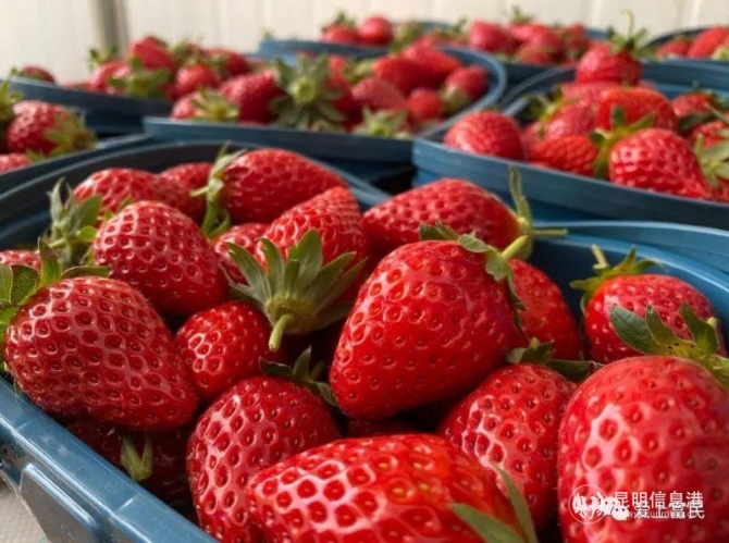 微信图片_20191127104543