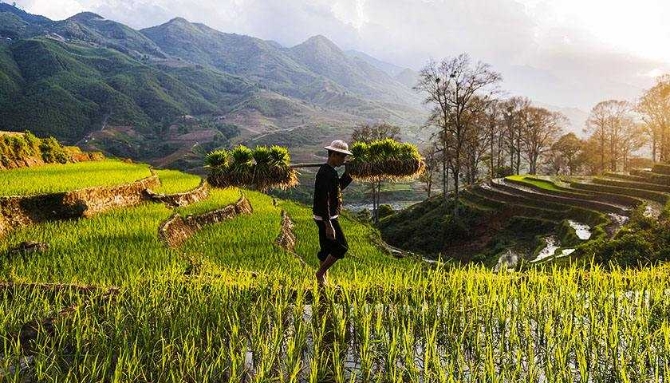 1574896479265971.jpg?x-oss-process=style/w10 timg.jpg?x-oss-process=style/w10