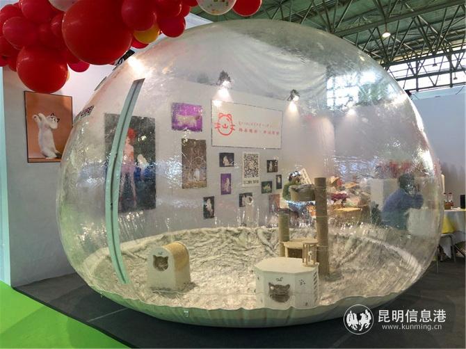 巨大的宠物天地。