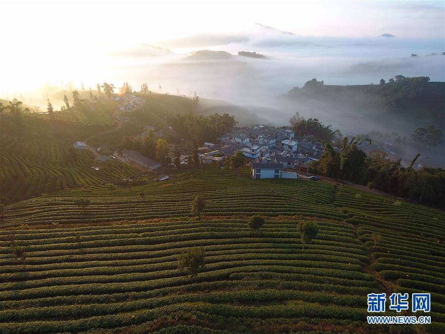 云南思茅4