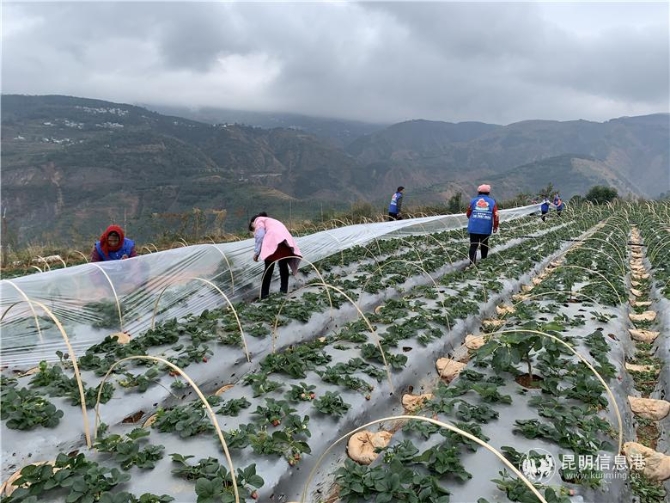 微信图片_20191204112253 微信图片_20191204112253