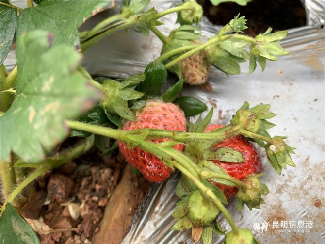 微信图片_201912041122533 微信图片_201912041122533