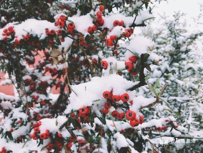 微信图片_201912061010593