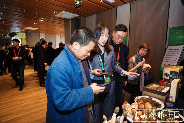 沪滇合作助力脱贫 云南森林生态产品亮相上海.jpg