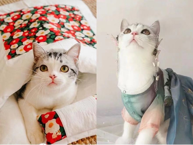 微信图片_20191209205226 微信图片_20191209205226