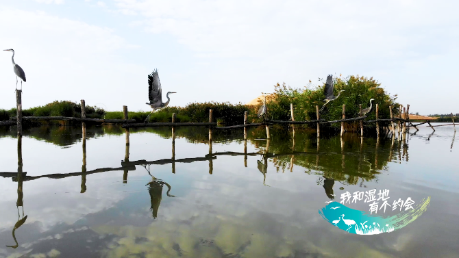 QQ截图20191023170458.png QQ截图20191023170458.png