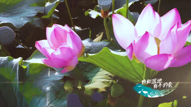 QQ截图20191023170549.png QQ截图20191023170549.png