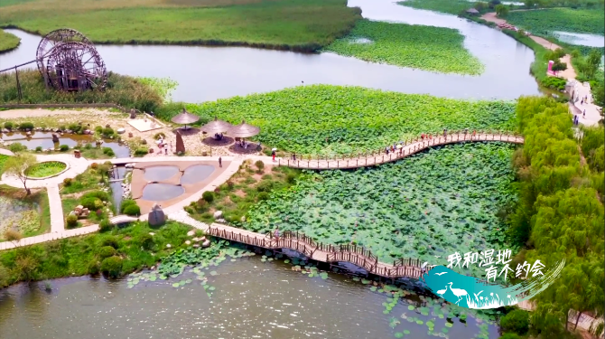 W020191023406220635914.png W020191023406220635914.png