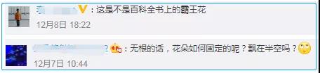 “寄生花”重现云南