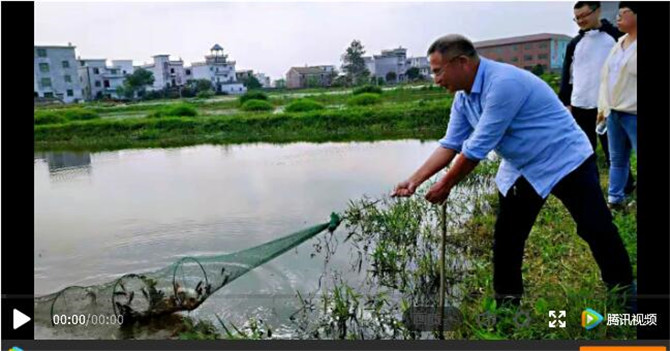 QQ截图201912121359471