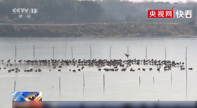 微信截图_20191213164430 微信截图_20191213164430