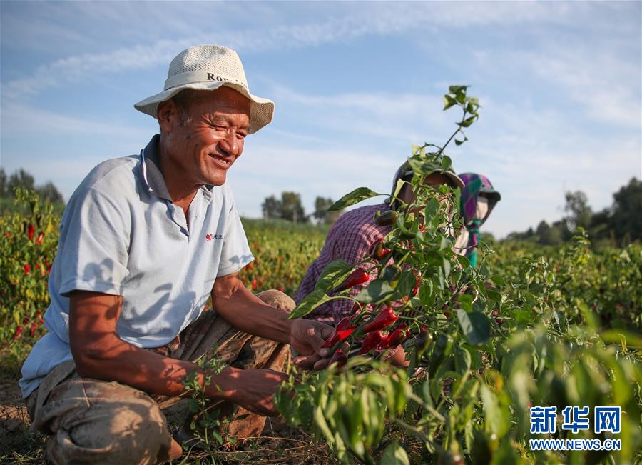 （在习近平新时代中国特色社会主义思想指引下——新时代新作为新篇章·总书记关切高质量发展·图文互动）（1）翻过“贫困”山，通向“幸福”站——脱贫攻坚“歼灭战”里的小故事