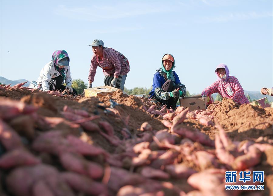 （在习近平新时代中国特色社会主义思想指引下——新时代新作为新篇章·总书记关切高质量发展·图文互动）（2）翻过“贫困”山，通向“幸福”站——脱贫攻坚“歼灭战”里的小故事