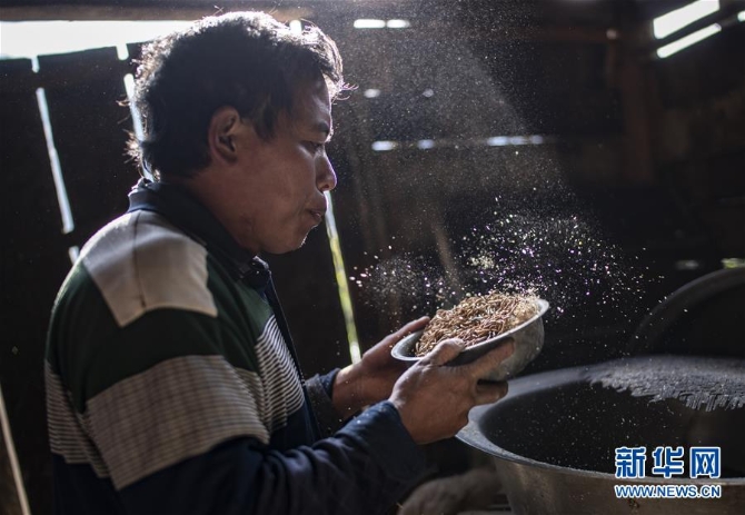 (环境)(2)云南泸水:“观鸟经济”助脱贫