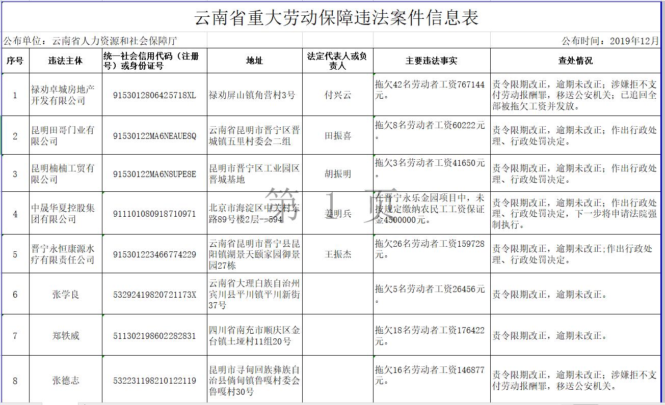云南省重大劳动保障违法案件信息表