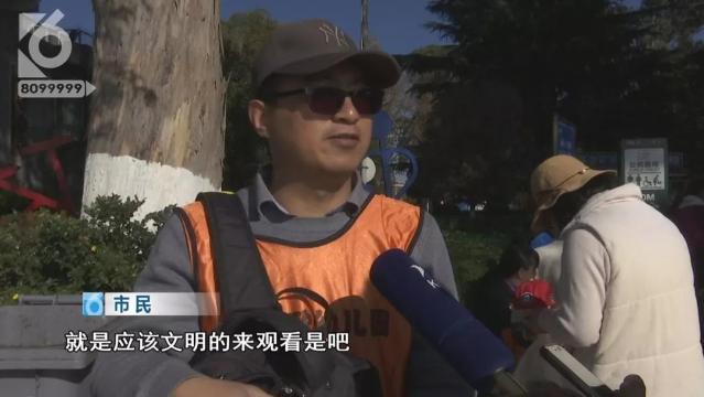 游客抓海鸥嬉戏拍照